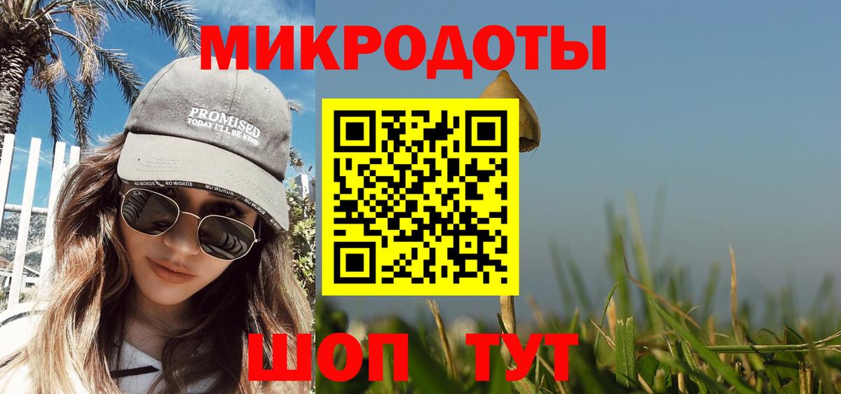 Галлюциногенные грибы Psilocybine cubensis Тихорецк