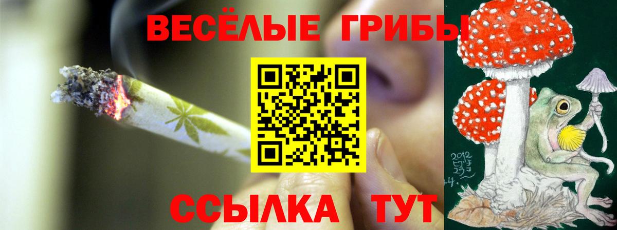 Галлюциногенные грибы мухоморы  Вход с VPN  Тихорецк 