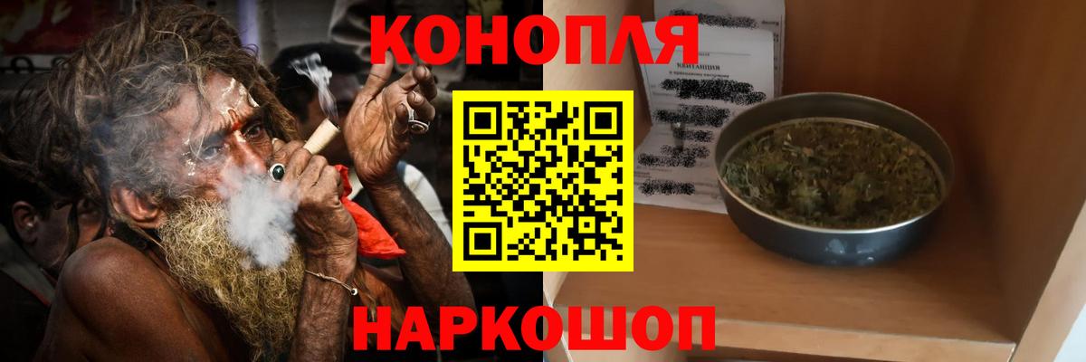 МАРИХУАНА ГИДРОПОН  Бошки марихуана планчик  Бошки Шишки планчик  Тихорецк  Вход с VPN 